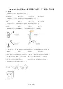 2025-2026学年河南省安阳市滑县九年级（上）期末化学试卷（含答案）