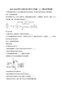 2025-2026学年上海市交大附中九年级（上）期末化学试卷（含答案）