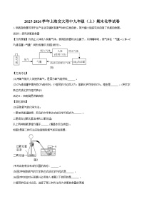2025-2026学年上海交大附中九年级（上）期末化学试卷（含答案）