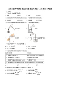 2025-2026学年陕西省西安市新城区九年级（上）期末化学试卷（含答案）
