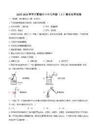 2025-2026学年宁夏银川十中九年级（上）期末化学试卷（含答案）