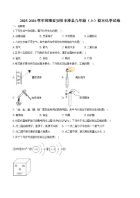 2025-2026学年河南省安阳市滑县九年级（上）期末化学试卷（含答案）