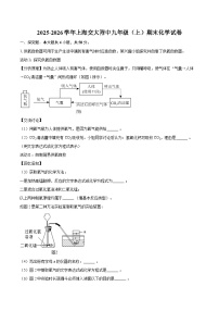 2025-2026学年上海交大附中九年级（上）期末化学试卷-自定义类型