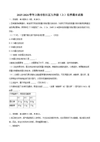 2025-2026学年上海市松江区九年级（上）化学期末试卷-自定义类型