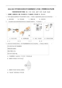 2024-2025学年湖北省武汉市东湖高新区九年级上学期期末考试化学试卷(有（有答案)