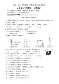 河北省保定市2023-2024学年九年级上学期期末考试化学试卷