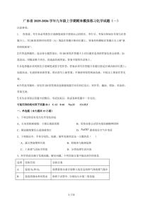 广东省2026届九年级上学期期末模拟练习（一）化学试题（含答案）