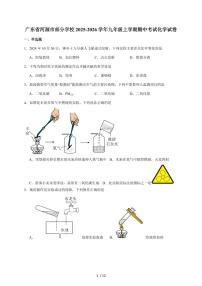 广东省河源市部分学校2026届九年级上学期期中考试化学试题（含答案）