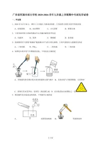 广东省河源市部分学校2026届九年级上学期期中考试化学试题（含答案）