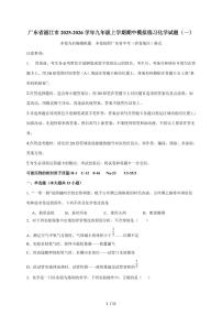 广东省湛江市2026届九年级上学期期中模拟练习（一）化学试题（含答案）