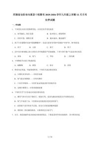河南省安阳市内黄县十校联考2026届九年级上学期12月月考化学试题（含答案）