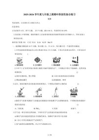 河南省信阳市淮滨县2026届九年级上学期期中考试化学试题（含答案）