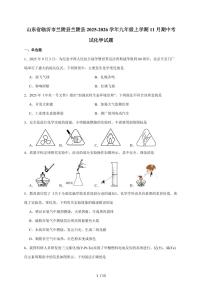 山东省临沂市兰陵县2026届九年级上学期期中考试化学试题（含答案）