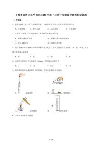 上海市崇明区九校（五四制）2025~2026学年八年级上学期期中联考化学试题（含答案）