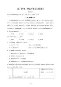 上海市普陀区2025~2026学年九年级上学期12月月考化学试题（含答案）