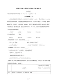 上海市普陀区2025~2026学年九年级上学期12月月考化学试题（含答案）