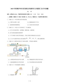 四川省泸州市龙马潭区多校2025~2026学年九年级上学期12月联考化学试题（含答案）