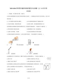 四川省泸州市泸县第五中学2025~2026学年九年级上学期月考化学试题（12月份）含答案