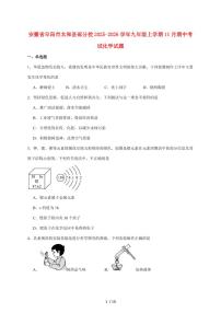 安徽省阜阳市太和县部分校2026届九年级上学期（11月）期中考试化学试卷（附答案）