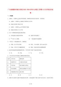 广东省揭阳市部分学校2026届九年级上学期12月月考化学试卷（附答案）