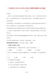 广东省湛江市2026届九年级上学期期中模拟练习（二）化学试卷（附答案）