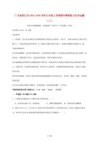 广东省湛江市2026届九年级上学期期中模拟练习（三）化学试卷（附答案）