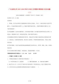 广东省湛江市2026届九年级上学期期中模拟练习（三）化学试卷（附答案）