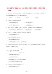 山东省德州市武城县2025_2026学年八年级上学期（11月）期中考试化学试卷（附答案）
