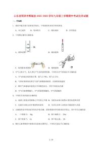 山东省菏泽市鄄城县2026届九年级上学期（11月）期中考试化学试卷（附答案）
