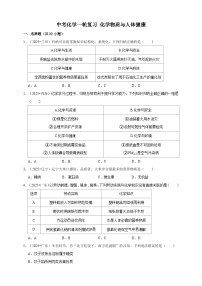 2026年中考化学一轮复习 化学物质与人体健康练习（含解析）