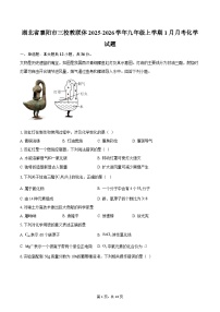 湖北省襄阳市三校教联体2025-2026学年九年级上学期1月月考化学试题-自定义类型