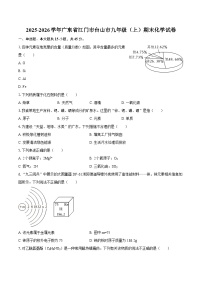 2025-2026学年广东省江门市台山市九年级（上）期末化学试卷-自定义类型