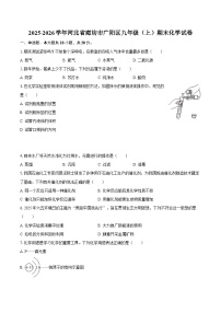 2025-2026学年河北省廊坊市广阳区九年级（上）期末化学试卷-自定义类型