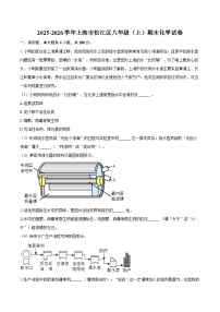 2025-2026学年上海市松江区八年级（上）期末化学试卷-自定义类型