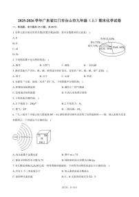 2025-2026学年广东省江门市台山市九年级（上）期末化学试卷（含答案）