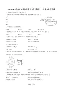 2025-2026学年广东省江门市台山市九年级（上）期末化学试卷（含答案）