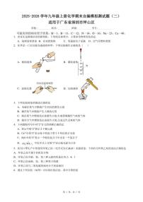 2025-2026学年广东省深圳市坪山区九年级上册期末化学自编模拟测（二）试题（含答案）