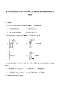贵州省部分市县联考2024-2025学年九年级上学期期末考试化学试卷（含答案）