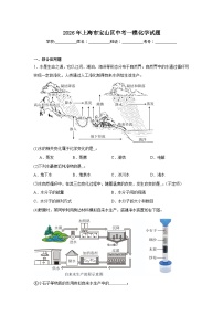 2026年上海市宝山区中考一模化学试题（附答案解析）