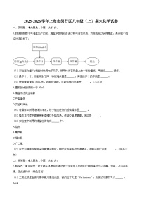 2025-2026学年上海市闵行区八年级（上）期末化学试卷-自定义类型