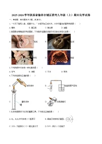 2025-2026学年陕西省榆林市城区联考九年级（上）期末化学试卷-自定义类型
