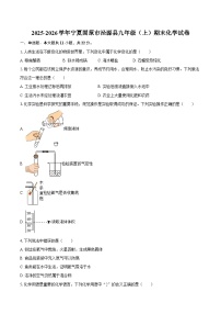 2025-2026学年宁夏固原市泾源县九年级（上）期末化学试卷-自定义类型