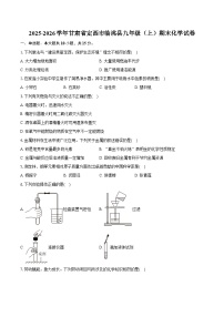 2025-2026学年甘肃省定西市临洮县九年级（上）期末化学试卷（含答案）