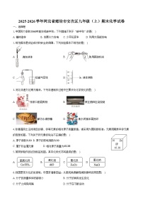 2025-2026学年河北省廊坊市安次区九年级（上）期末化学试卷（含答案）