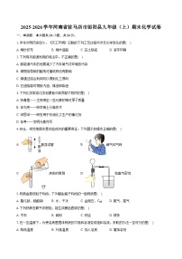 2025-2026学年河南省驻马店市泌阳县九年级（上）期末化学试卷（含答案）