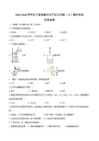 2025-2026学年辽宁省阜新市太平区九年级（上）期末化学试卷（含答案）