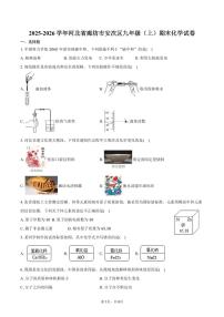 2025-2026学年河北省廊坊市安次区九年级（上）期末化学试卷（含答案）
