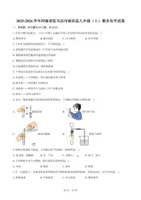 2025-2026学年河南省驻马店市泌阳县九年级（上）期末化学试卷（含答案）