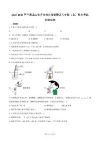 2025-2026学年黑龙江省齐齐哈尔市铁锋区九年级（上）期末化学试卷（含答案）