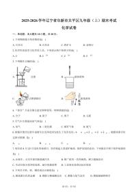 2025-2026学年辽宁省阜新市太平区九年级（上）期末化学试卷（含答案）